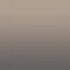 Beige Carat