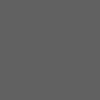 Gris Platinium/Toit Noir