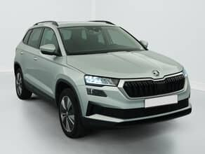 Skoda Karoq 2.0 tdi 116 ch scr dsg7 business