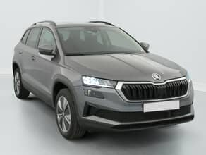 Skoda Karoq 2.0 tdi 116 ch scr dsg7 business