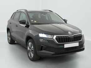 Skoda Karoq 2.0 tdi 116 ch scr dsg7 business