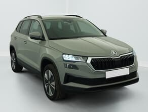 Skoda Karoq 2.0 tdi 116 ch scr dsg7 business